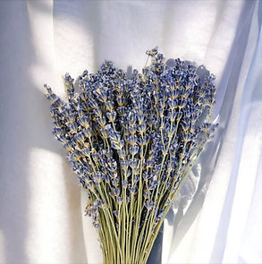 Dried Lavender Bunch