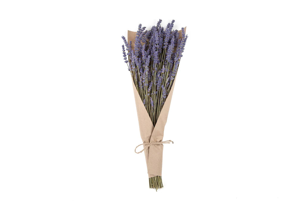 Dried Lavender Bunch